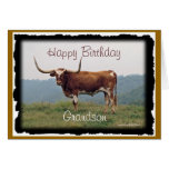 Longhorn em monte-personalizar-alguma ocasião cartão