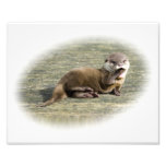 Lontra bonito do bebê que boceja foto
