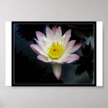 Lotus Impressão