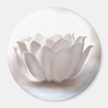 Lotus whites imãs de geladeira