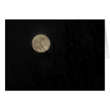 Lua cheia, membros desencapados, cartão do solstíc