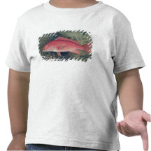 Luciano, 'dos peixes do jogo do estado unido tshirt