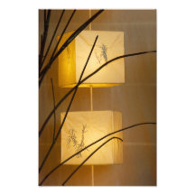 Luz macia fotografia