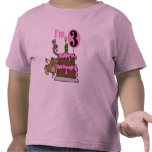 Macaco com o camiseta e os presentes do aniversári