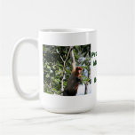 Macaco de Proboscis na floresta húmida de Bornéu Caneca