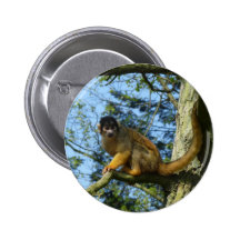 Macaco na árvore boton