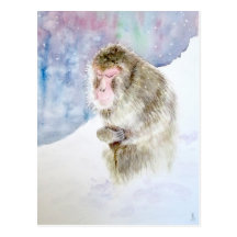MACACO NA MEDITAÇÃO CARTAO POSTAL
