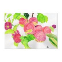 Maçãs Impressão De Canvas Envolvidas
