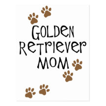 Mamã do golden retriever cartao postal