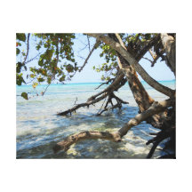 Manguezais e praia rochosa Negril Jamaica Impressão De Canvas Envolvida