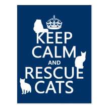 Mantenha os gatos calmos e do salvamento (em algum cartões postais