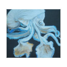 Mar Shell Nautilius de papel Impressão Em Tela Canvas