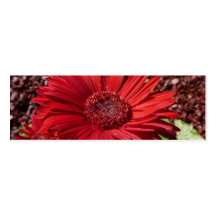 Marcador vermelho da flor cartoes de visita