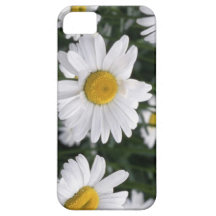 Margarida a flor para o 5o aniversário capas de iPhone 5 Case-Mate