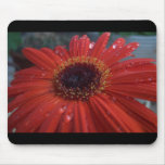 margarida mouse pads