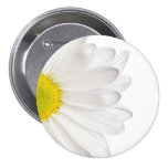 Margaridas personalizadas fundo da flor da margari pins