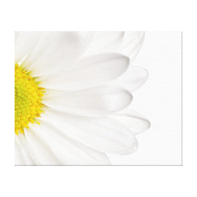 Margaridas personalizadas fundo da flor da margari impressão de canvas esticada
