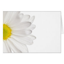 Margaridas personalizadas fundo da flor da margari cartões