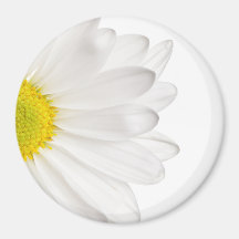 Margaridas personalizadas fundo da flor da margari imã de refrigerador