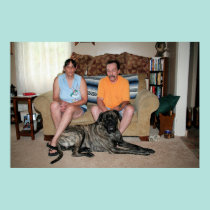 Mastiff de Neopolitan - ciclone 28 pôsteres