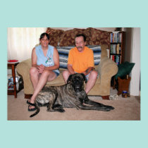 Mastiff de Neopolitan - ciclone 29 pôsteres