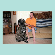 Mastiff de Neopolitan - ciclone 33 pôsteres
