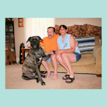 Mastiff de Neopolitan - ciclone 35 pôsteres
