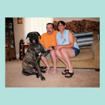 Mastiff de Neopolitan - ciclone 37 pôsteres