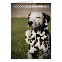 Meditação Dalmatian Cartoes