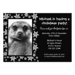 Meerkat Cub caçoa o convite da festa de Natal