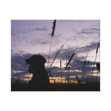 Memória de Labrador Impressão De Canvas Esticada