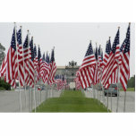 Memorial Day Fotoescultura