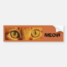 MEOW ADESIVO