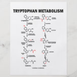 Metabolismo do triptofano (química) modelo de panfletos