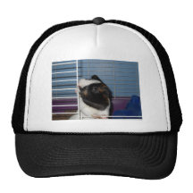 Meu animal de estimação bonés