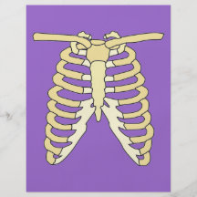 Meus reforços panfleto coloridos