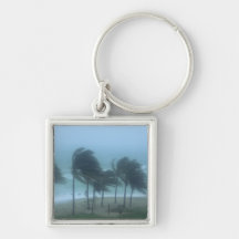 Miami Beach, Florida, chicotada dos ventos de fura Chaveiros