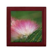 Mimosa cor-de-rosa de seda porta trecos