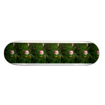 Minha tulipa do bebê skate boards
