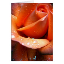Molhe cor-de-rosa cartão