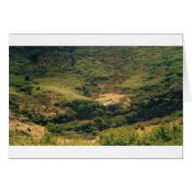 montanhas de Colorado Cartoes