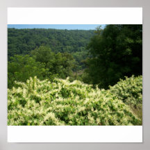 Montanhas de West Virginia Pôsteres