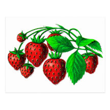 Morangos frescas cartao postal