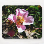 Mousepad - a abelha em um selvagem aumentou mousepads