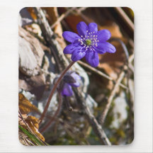 mousepad azul da flor selvagem