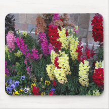 Mousepad bonito do jardim