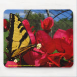 Mousepad - Butterlfly que sugam em uma flor mousepads