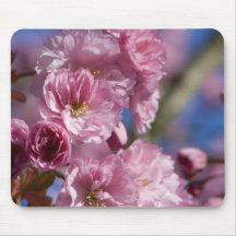 Mousepad da cereja 2