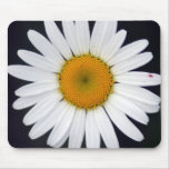 mousepad da margarida branca