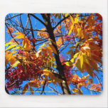Mousepad - folhagem de outono mousepads